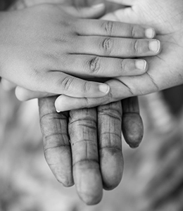 Evening Shall Appear Fruitful