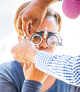 Bearing Winged Lights Fourth Seed Them Fruit To